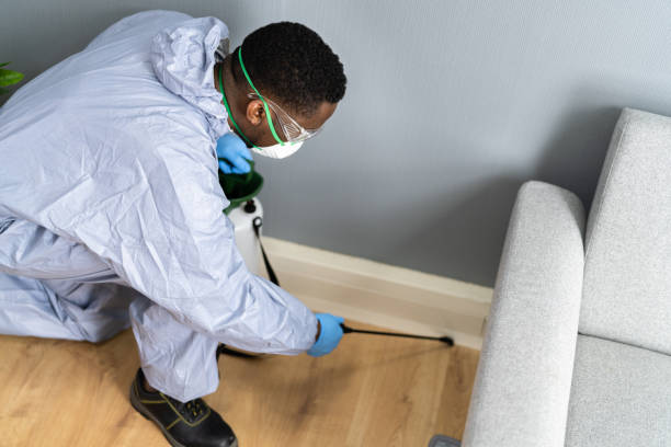 Best Fumigation Services  in Callaway, MD